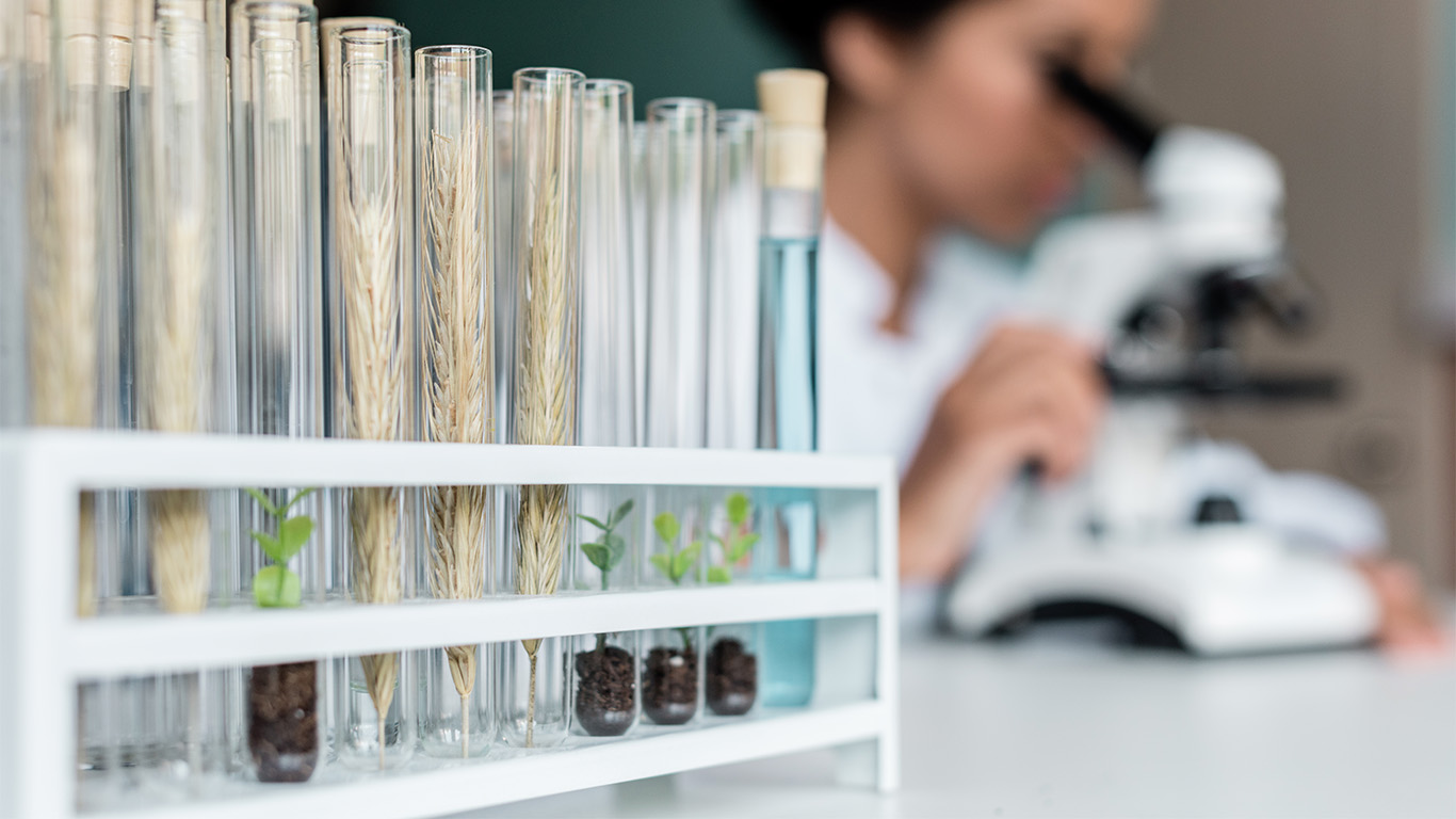 Närbild av provrör i ett biologilabb. Studerande i bakgrunden.